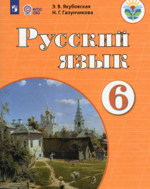 Русский язык 6 класс Учебник (обуч. с интеллектуальными нарушениям).
